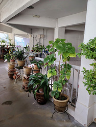 Blk 14 Saint George's Road (Kallang/Whampoa), HDB 3 Rooms #548571131